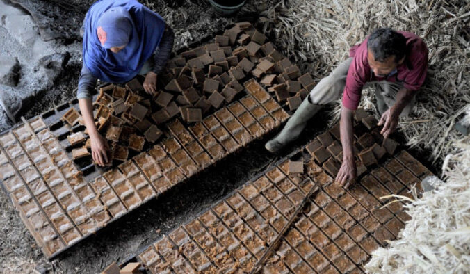 Menuju penguatan petani dalam mencapai swasembada gula di Indonesia, dengan fokus pada peran sentral petani dalam meningkatkan produktivitas.